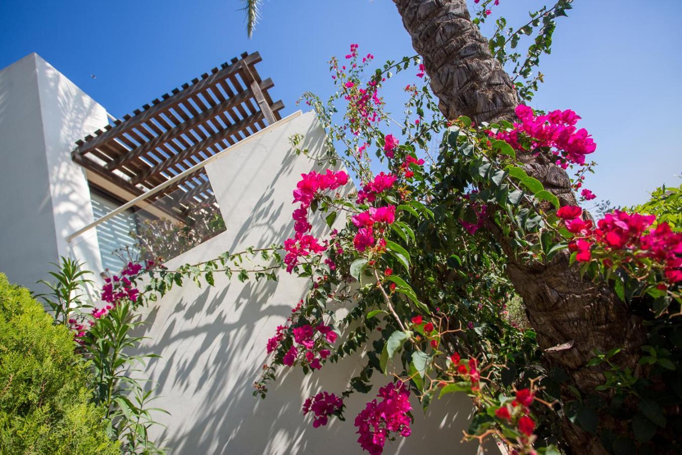 Penthouse Duplex Overlooking The Mediterranean Larnaca Esterno foto